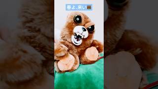 口パク【春よ、来い🐻槇原敬之ver】ヒットスタジオ🐻shorts ユーミン [upl. by Philomena610]