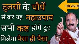 आज ही करें तुलसी के पौधें के इन 5 उपायों मे से कोइ भी एक उपाय घर मे होने लगेगी पैसों की बरसात [upl. by Sheline]