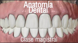 Anatomía dental  clase magistral virtual [upl. by Arataj]