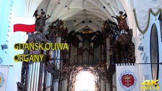 Gdańsk 4K Oliwa koncert organowy 🎥 [upl. by Camel]