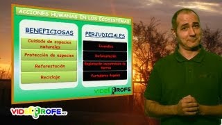 09 Tipos de ecosistemas 5º Conocimiento del Medio Videoprofenet [upl. by Oemor959]