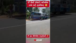 එයාට කරදරයක් 😱 automobile 1millon teamsasindu trending bus sasiyabro [upl. by Placidia]