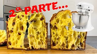 PANETTONE ALVEOLATO fatto in CASA con planetaria  2 parte [upl. by Pohsib]