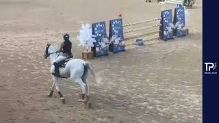 JEP 2024  Flavia JunqueiraCrystal Santa Dalila  Campeã  130m  horses showjumping [upl. by Siraval]