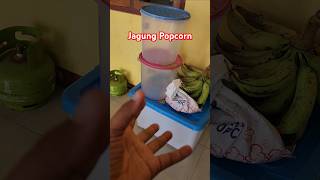 Jagung Popcorn Jumbo Mushroom dan Butterfly [upl. by Cas]