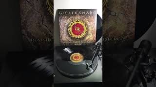 Whitesnake  Is This Love 1987 2022 Remix [upl. by Dnaletak]