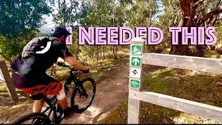 Moving SUCKS Mountain biking does NOT [upl. by Carilyn]