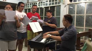 Stella Maris Music by Fr Manoling Francisco SJ [upl. by Davena]