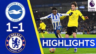 Brighton 11 Chelsea  Premier League Highlights [upl. by Reinke]