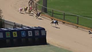 Gawler10012024Race1 [upl. by Reibaj]