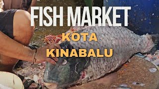 Kota Kinabalu  Fish Market 2024 [upl. by Melisa603]