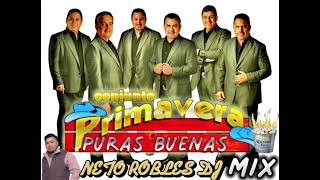 CONJUNTO PRIMAVERA MIX puras buenas ByNeto Robles Dj [upl. by Neerom994]