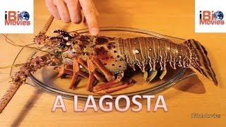 LAGOSTA  Uma delícia de Conhecimento The Lobster  a Delightful Knowledge English Subtiltles [upl. by Berti]