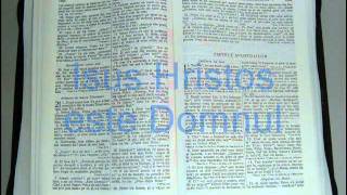 5  FAPTELE APOSTOLILOR  Noul Testament  Biblia Audio Romana [upl. by Wyn]