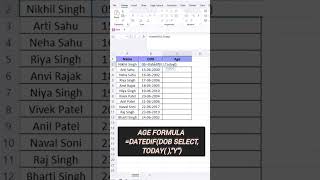 CURRENT AGE IN EXCEL [upl. by Sola]