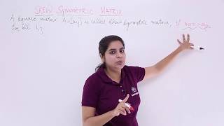 Class 12th – Overview of Skew Symmetric Matrix  Matrices  Tutorials Point [upl. by Yendic]