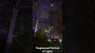 Tanglewood Festival of Lights Clemmons NC [upl. by Oskar642]