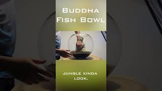 Buddha Aquascape Fish Bowl Set Up [upl. by Converse]