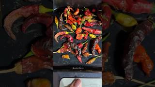 Drying peppers from the garden shorts [upl. by Manouch596]