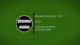 TUTO EntomologieComment naturaliser un phasme [upl. by Atsyrt768]