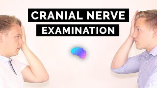 The Cranial Nerve Examination Includes Name amp Function Mnemonics [upl. by Acsirp]