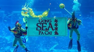 Underwater Dragon Dance at Gong SEA Fa Cai 2017  SEA Aquarium [upl. by Prochora]