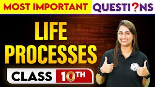 LIFE PROCESSES  Most Important Questions  Class  10th [upl. by Assetan]