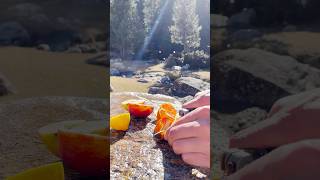 Making fruit tea asmr mountains traveling tea november cozymeal fruittea asmr kyrgyzstan [upl. by Agneta831]