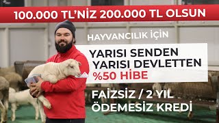 DEVLET DESTEKLİ HAYVANCILIK NASIL YAPILIR  2021 KOSGEB ve TKDK DESTEKLERİ [upl. by Feirahs]