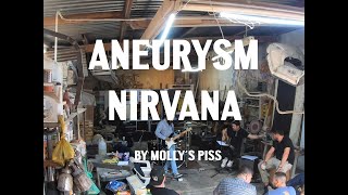 Aneurysm NIRVANA cover [upl. by Fitzger]