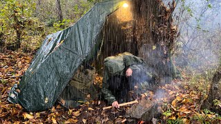 Solo Camping in the rainforest  Survival in the tent in the autumn cold ASMR [upl. by Hacissej665]