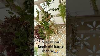 Subha ki shuddh hawa ka anand le🥰shorts nature knowledge viral trending ytshortsvideo [upl. by Htirehc]