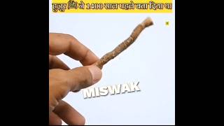 MISWAK KE FAYDEMiswak benefit shorts islam facts [upl. by Louth]