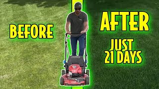 Fix Your Lawn in Just 21 Days [upl. by Moyers]