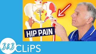 Is Your Hip Pain Coming From Your Back pt 1 [upl. by Teria248]