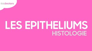 Les épithéliums  Histologie [upl. by Frodina34]