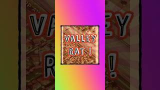 Nelly’s DILEMMA… Is This a LOVE SONG Valley 🐭 Rat [upl. by Lrat]