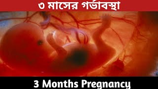 ৩ মাসের গর্ভবর্তী3 Months Pregnancy Banglaগর্ভাবস্থার ৩মাস শিশুর বিকাশ9 week to 12 week pregnancy [upl. by Iruahs]