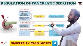 Regulation of Pancreatic secretion  Digestive System physiology [upl. by Catarina584]