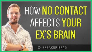 6 Ways No Contact Affects Your Ex’s Brain [upl. by Fishman354]