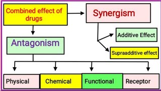 Combined Effect of Drugs [upl. by Coulter742]