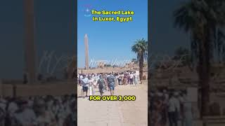 Discover The Sacred Lake in Luxor Egypt – Hidden Gem shorts TheSacredLakeLuxo [upl. by Ashleigh]