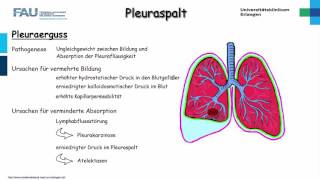 Chirurgie ─ Pleuraspalt Teil 12 [upl. by Quar224]