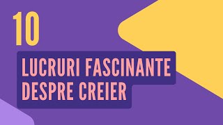 10 lucruri fascinante despre cum funcționează creierul tău [upl. by Pokorny]