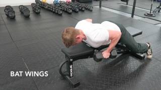 Bat Wing Rows Exercise Tutorial [upl. by Eniamaj312]