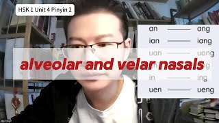 alveolar and velar nasals HSK 1 Unit 4 Learn Chinese 学中文 [upl. by Leinaj]