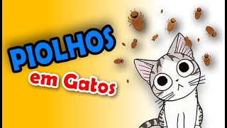 PIOLHOS EM FELINOS os hóspedes indesejáveis [upl. by Oakes]