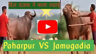 BARA PAHARPUR VS JAMUGADIA [upl. by Arretal]