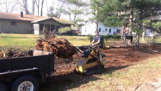 Vermeer Mini skid steer with grapple [upl. by Aniretac]