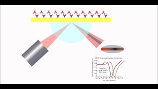 Surface Plasmon Resonance Explained [upl. by Ahsenom143]